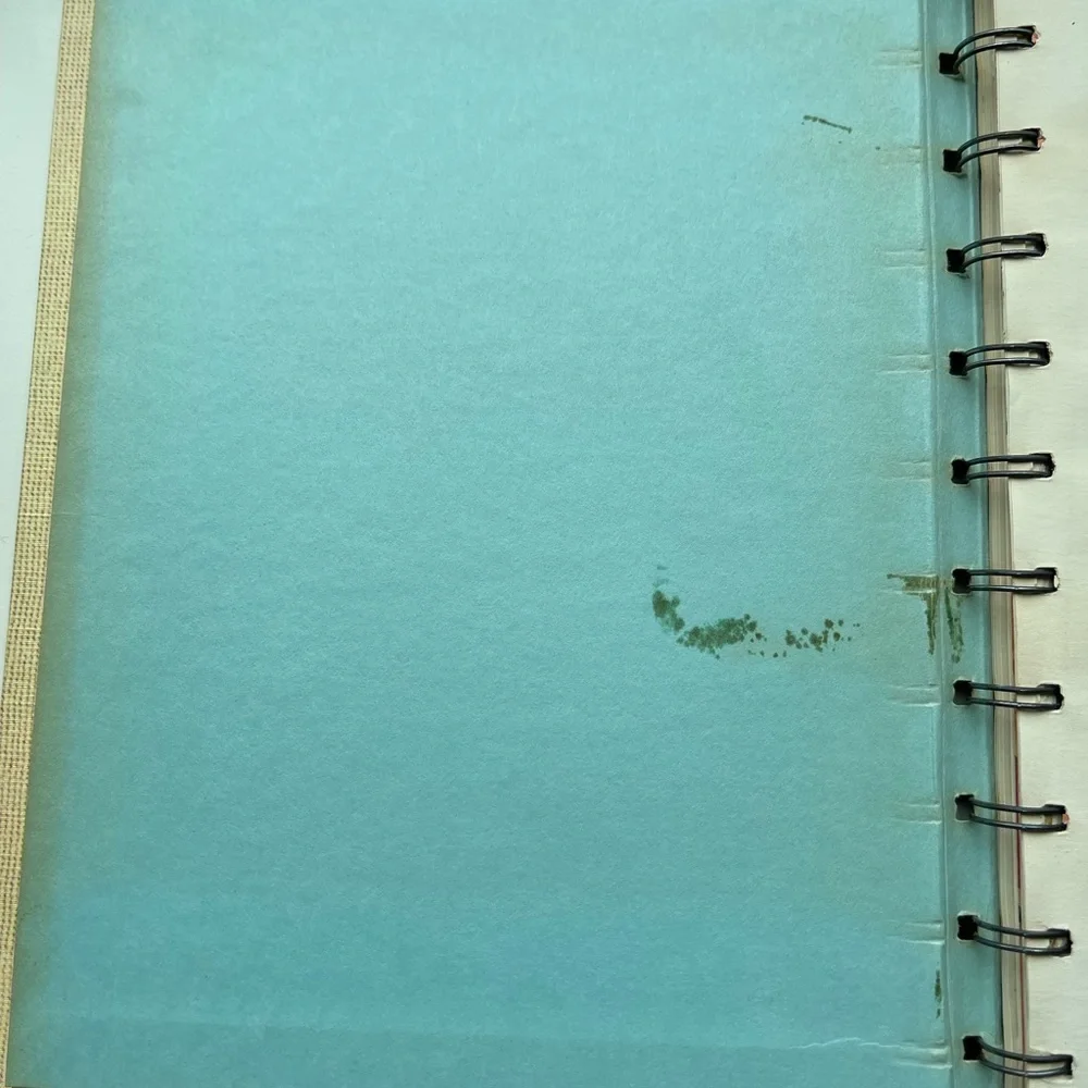 Betty Crocker’s Guide to Easy Entertaining Cook Book - Picture 6 of 9